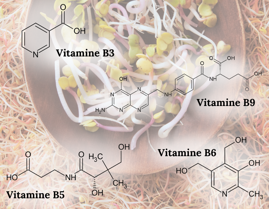Le complexe de vitamines B naturelles du laboratoire Nutrixeal